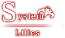 System