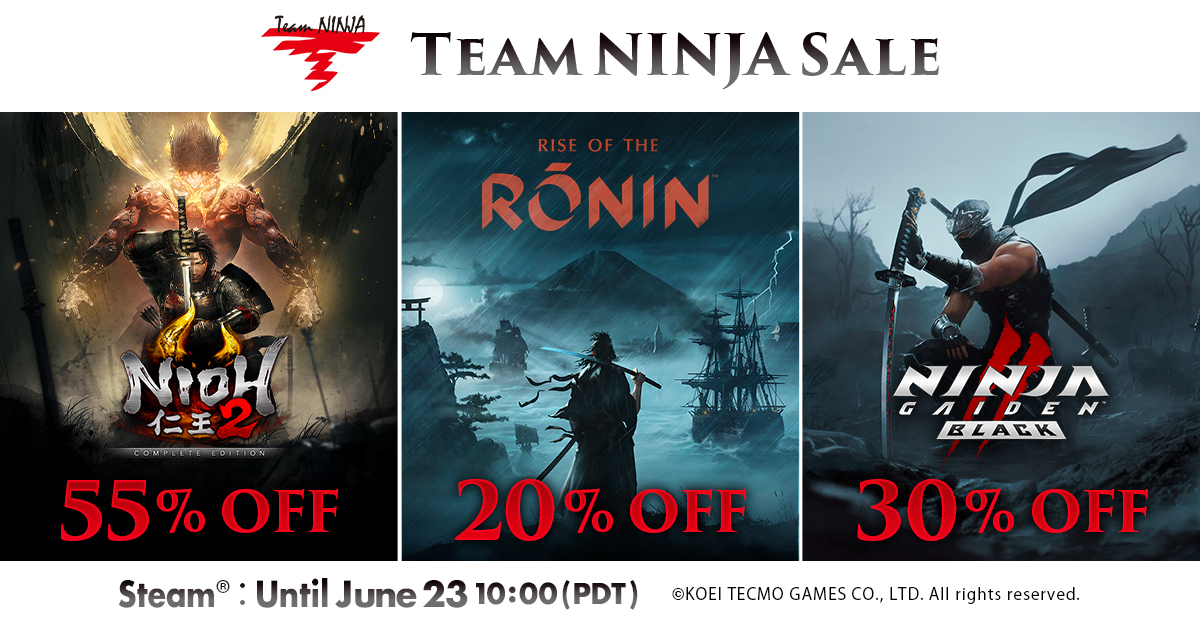 Team NINJA Sale