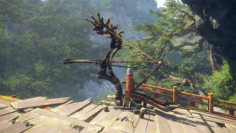 Flying Vine